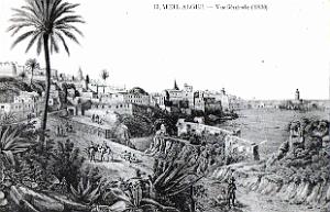 Vieil Alger 11